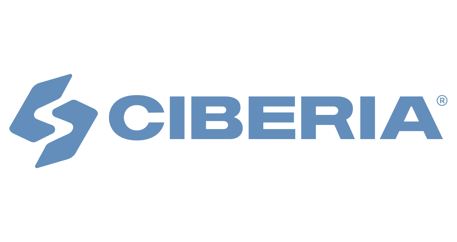 Ciberia_Reducción logo principal Stone blue